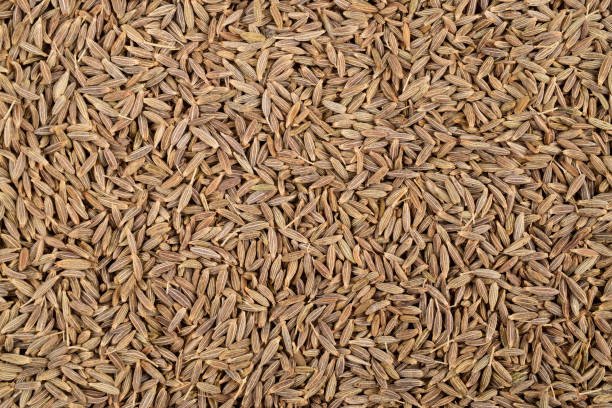 Cumin seeds texture background, caraway- spice, jeera texture