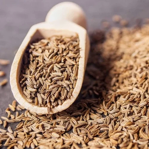 -cumin-seed-5